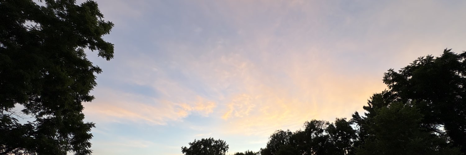 viaxdolphin's profile banner image