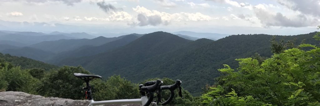 Uroplatus99's profile banner image