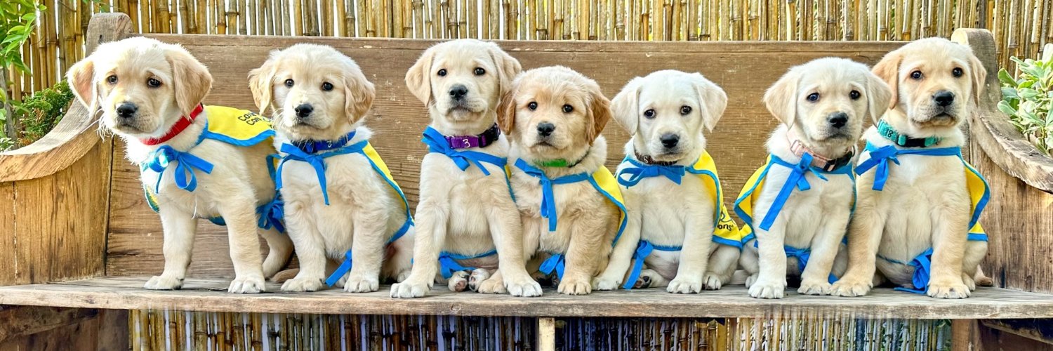 Canine Companions®'s banner