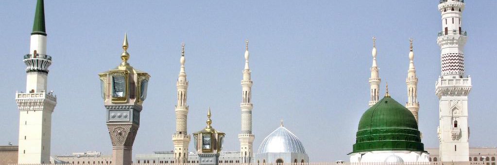 علاء بخيت banner