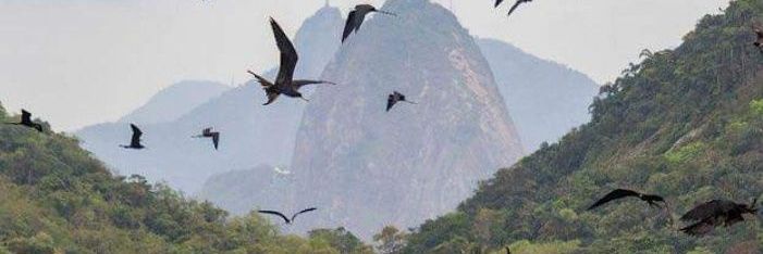 Borges_Sempre's profile banner image
