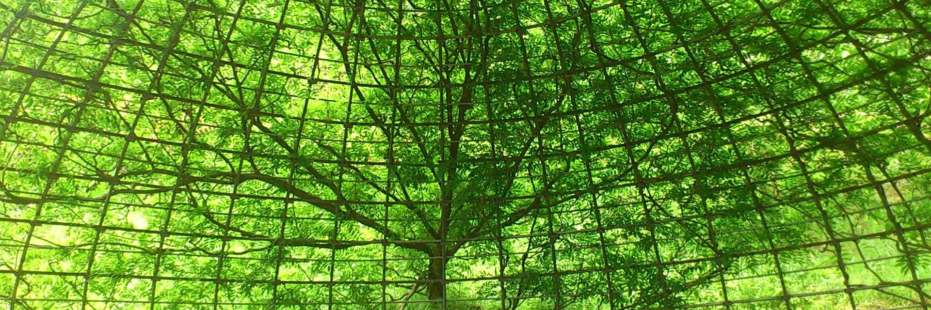 yo_mo_G's profile banner image