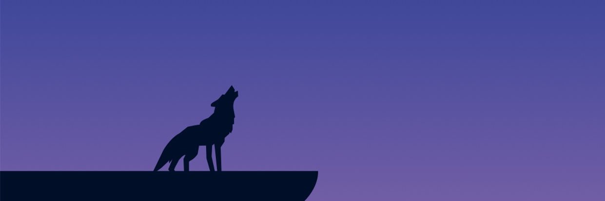 diwanzee's profile banner image