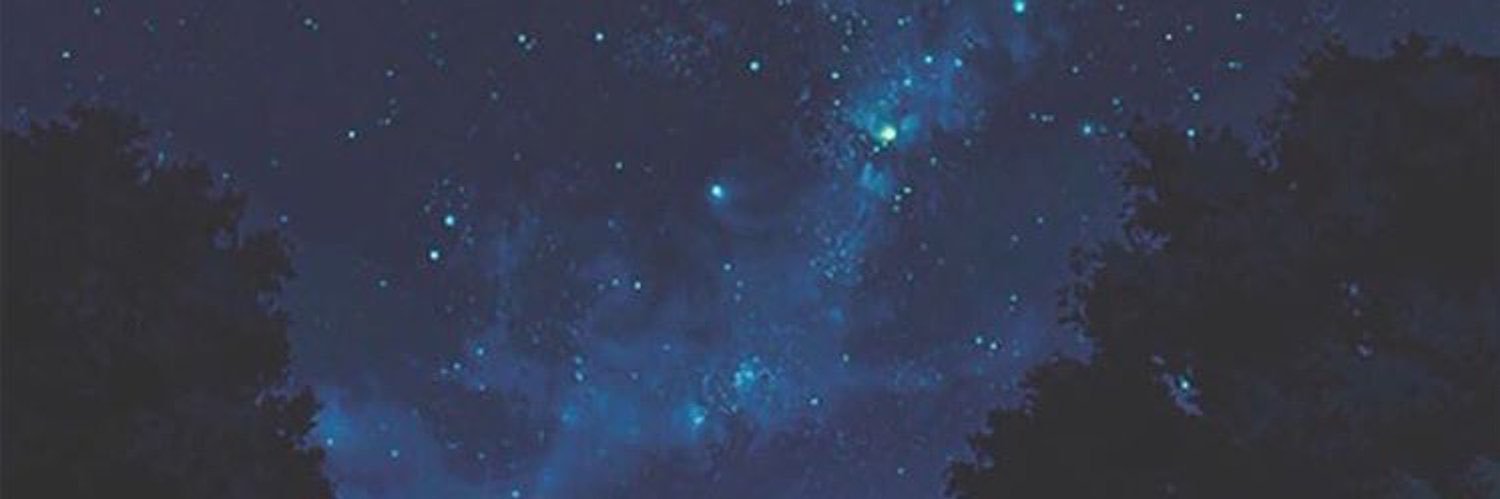 2dfaixaa's profile banner image