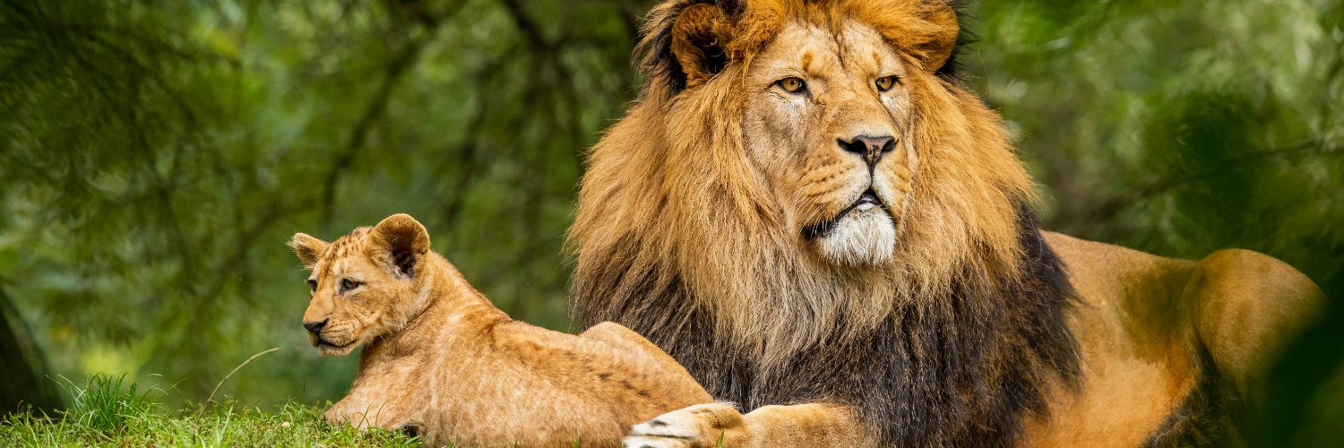 Very African Black banner