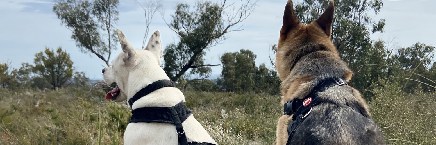 EllenBuggle's profile banner image