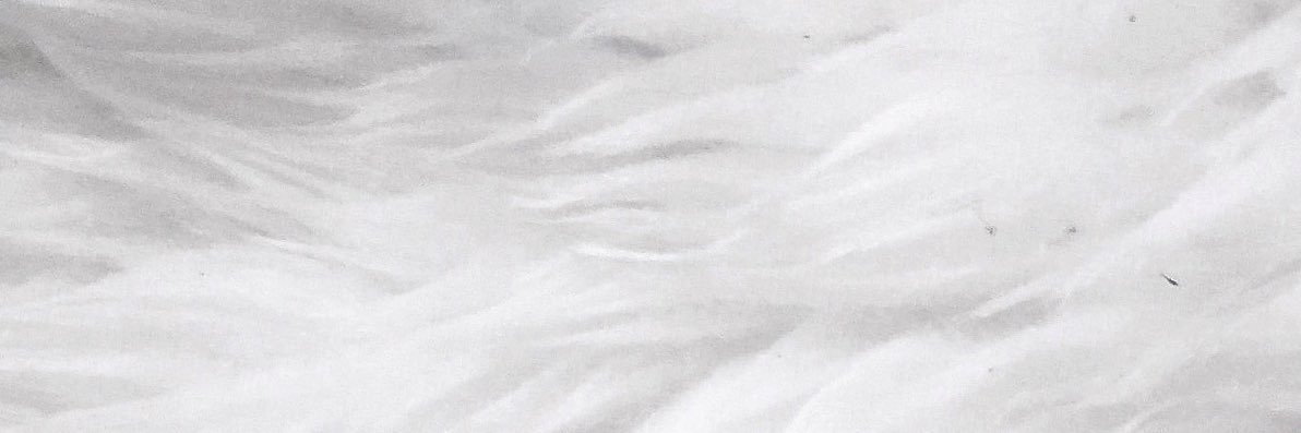 pmdcpy's profile banner image