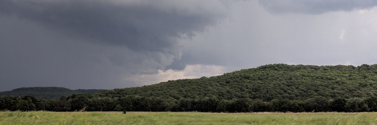 nothing_oskar's profile banner image