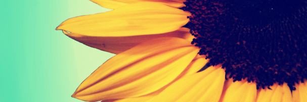daniduncs7's profile banner image