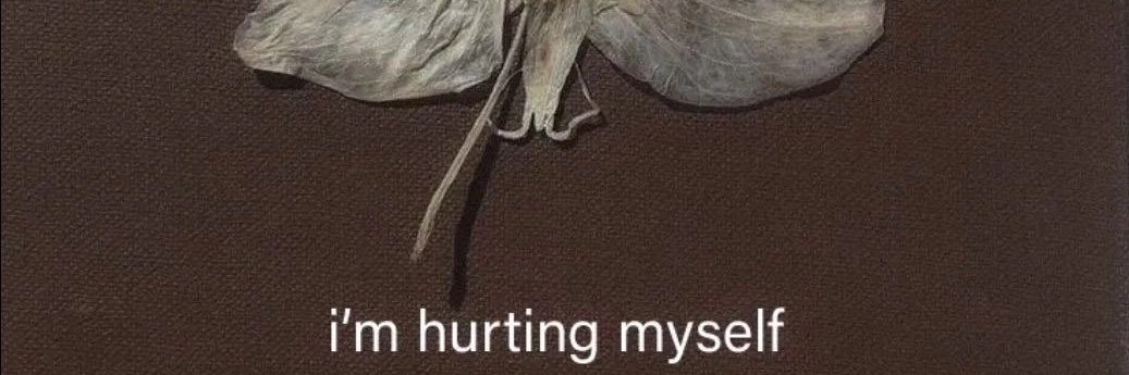 not_toyaa's profile banner image