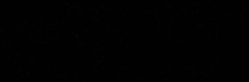 noelia banner