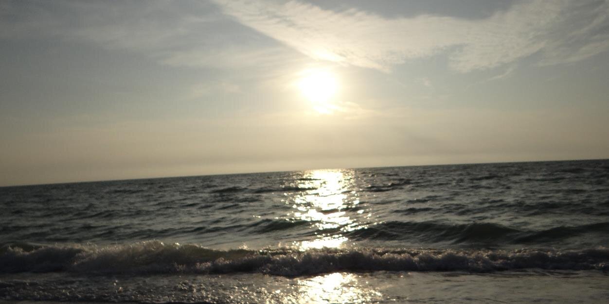 Taylor__Britton's profile banner image