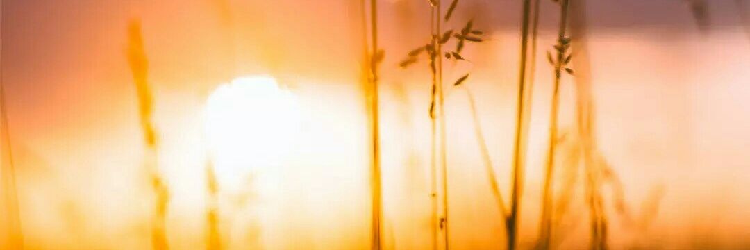 ayunin92's profile banner image