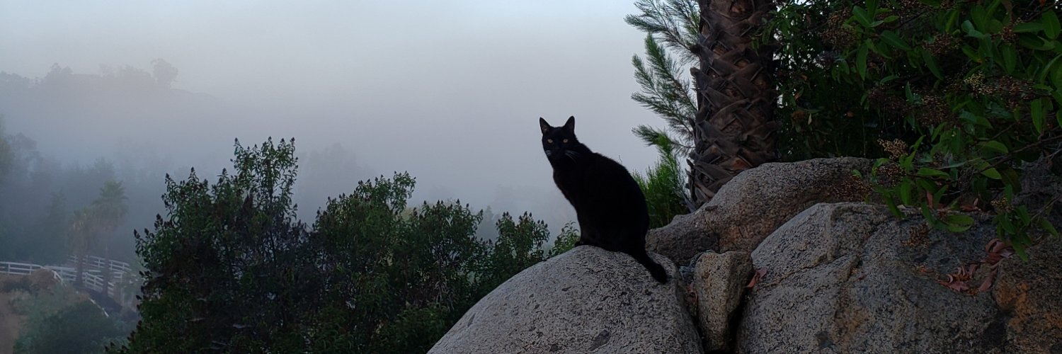 MissCmiss's profile banner image