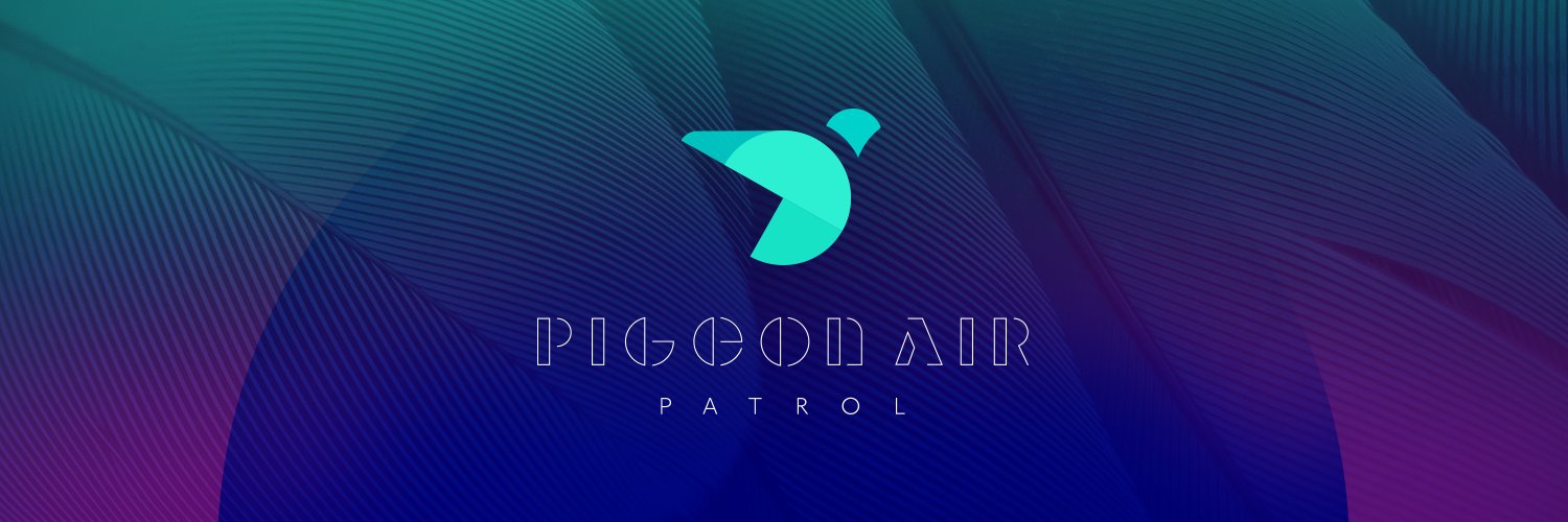 Pigeon Air Patrol banner
