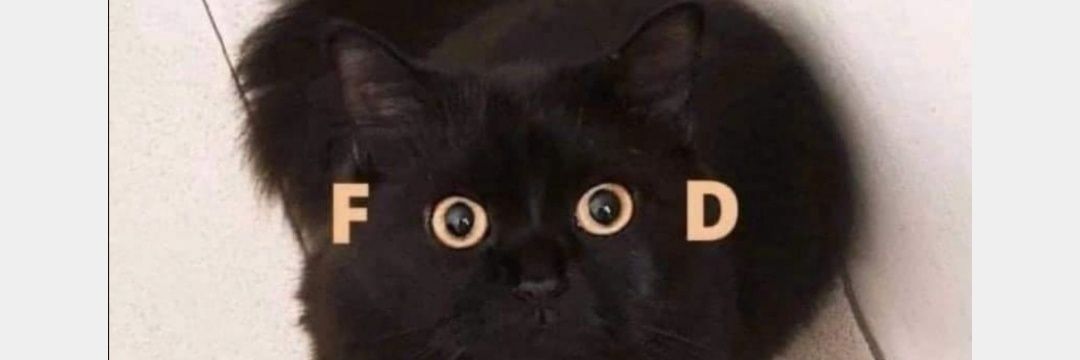 solamentelizz's profile banner image