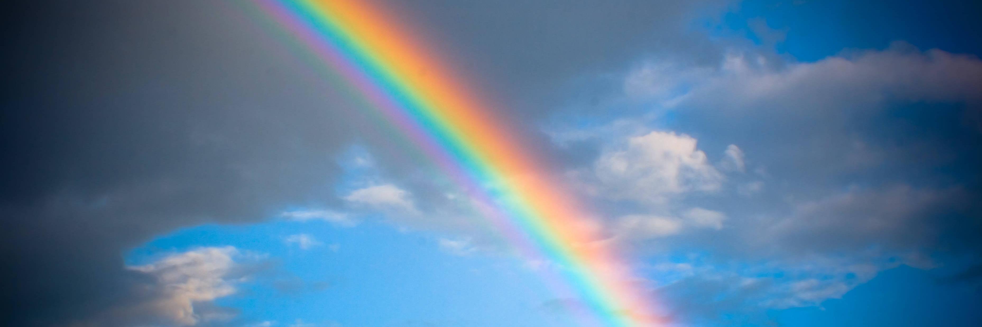 myRainbowPower's profile banner image