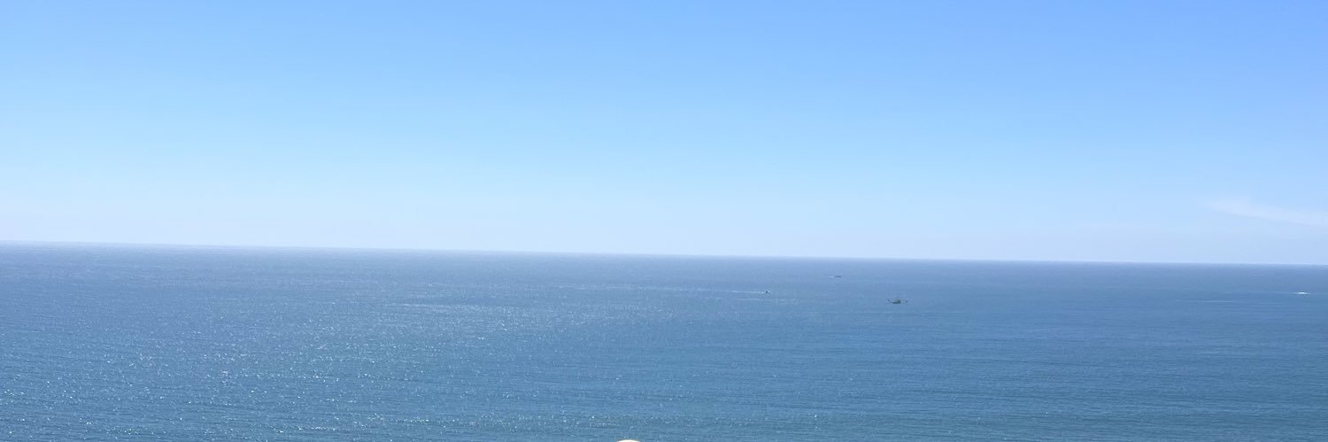 lesslieer's profile banner image