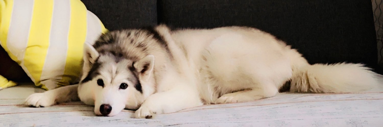 Imrana Bukhari banner