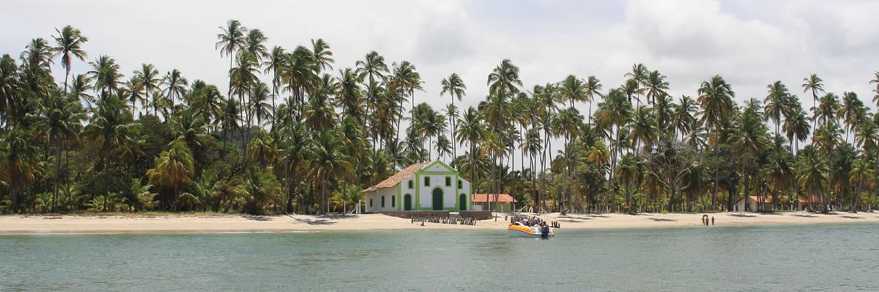 bertrand chaverot banner