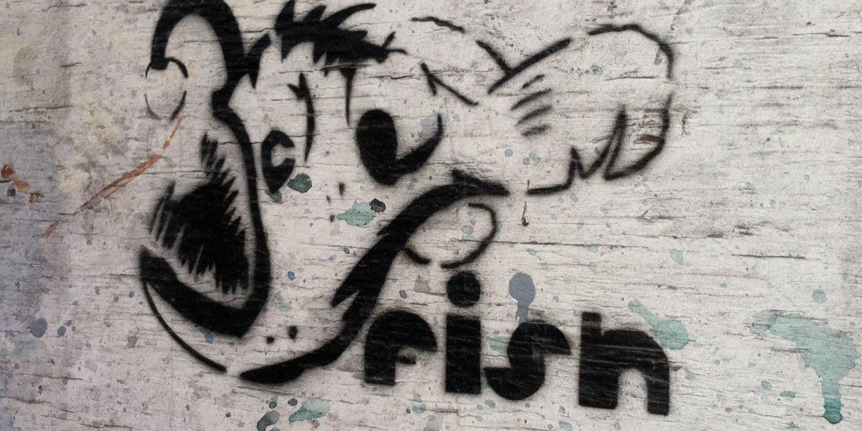 fish__1992's profile banner image