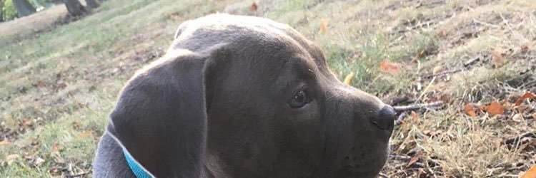 JoeSideRellz's profile banner image