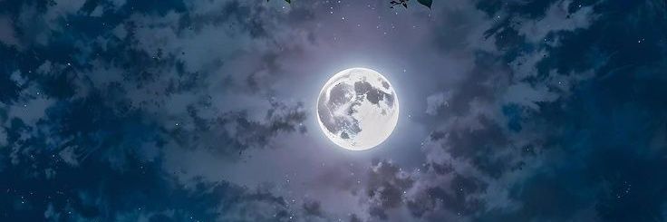 gmzz07's profile banner image