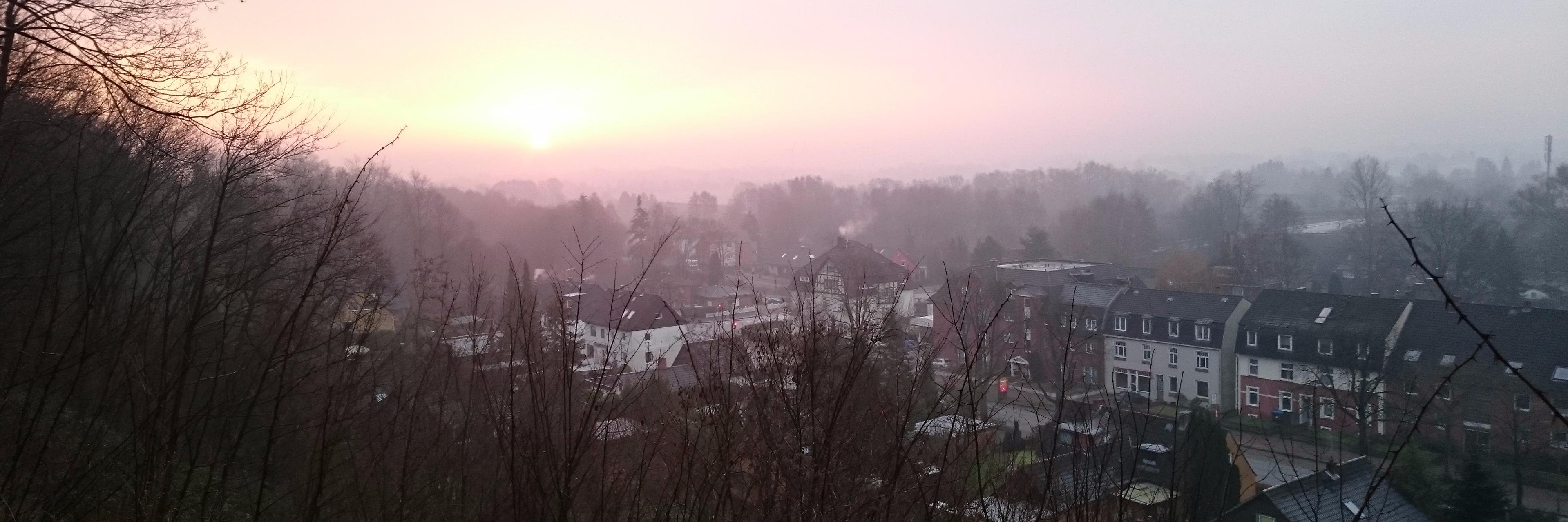 scheffowitsch's profile banner image
