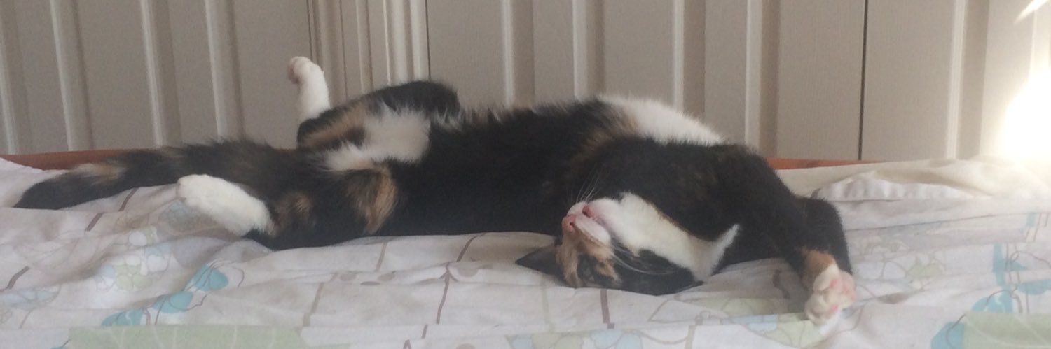 AliceChappell's profile banner image