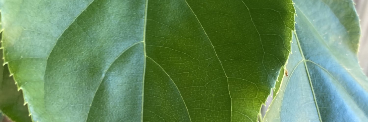 jlpsquared's profile banner image
