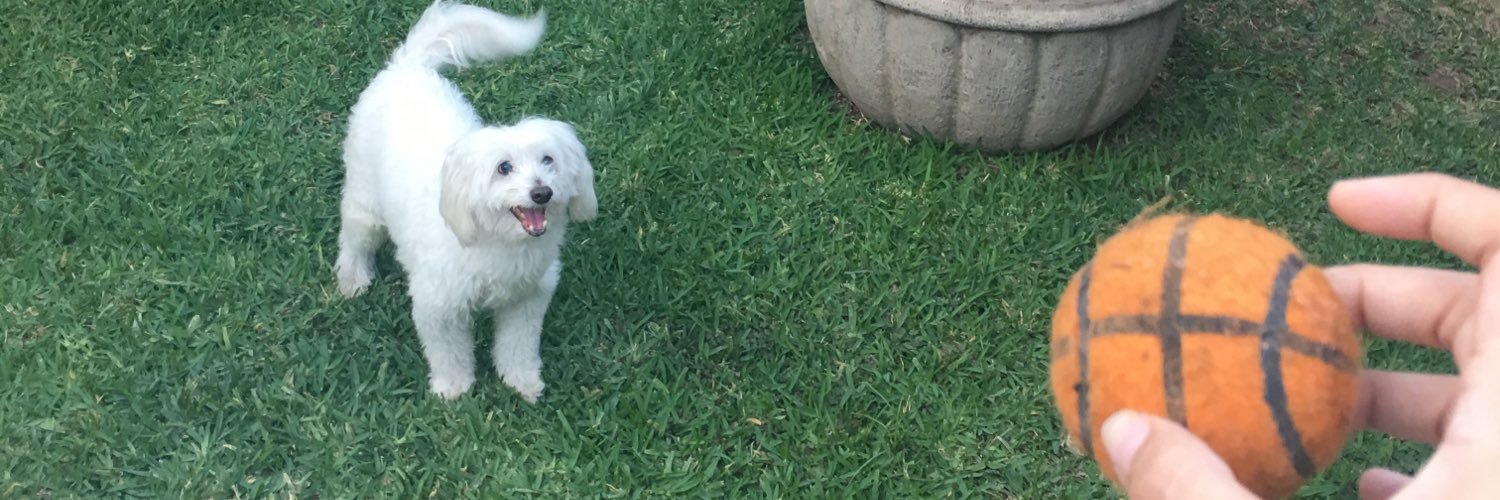 loren_rojo's profile banner image