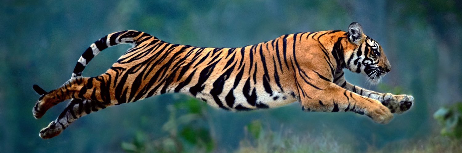 Matlouc's profile banner image