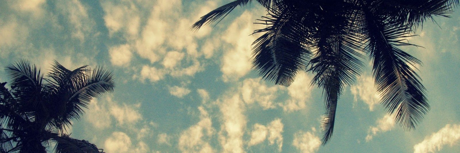 rahul_typ's profile banner image