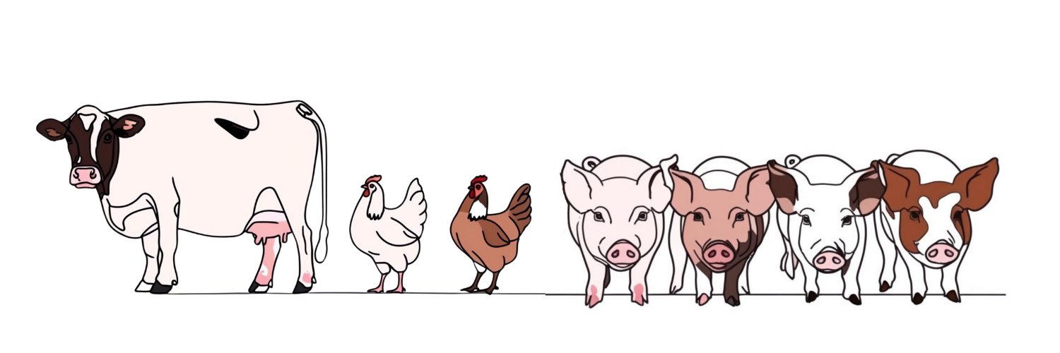 Agriinsight Publications Ltd banner