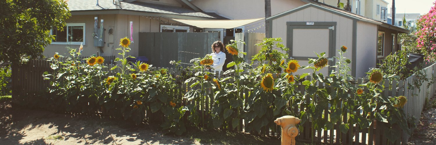 EmilyInAHurry's profile banner image