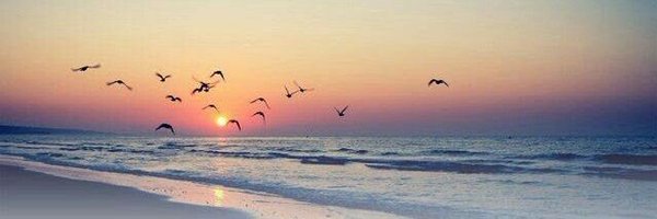 marcshuster_448 Profile Banner