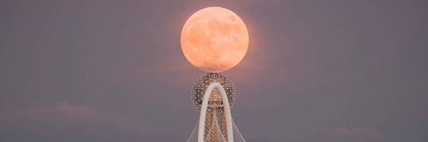 adollaholla Profile Banner