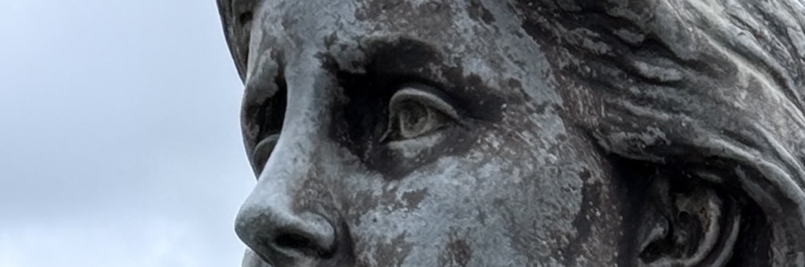Gtorontoc's profile banner image