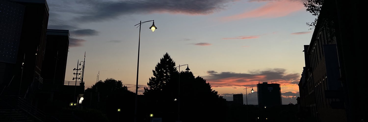 Ronnie_Em's profile banner image