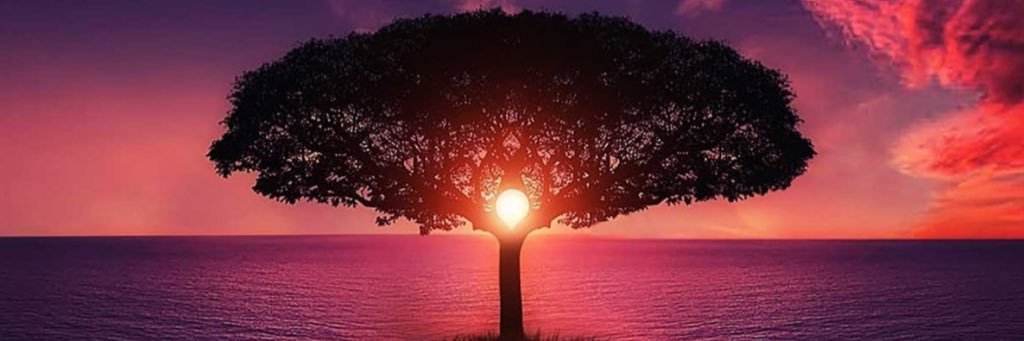 Emerrzonncruzz_'s profile banner image