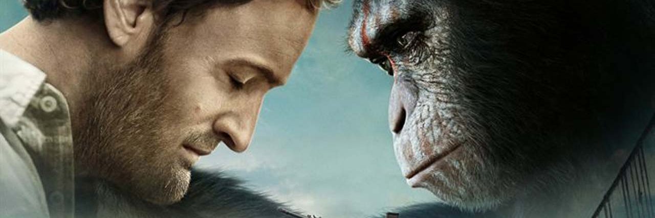 Placid_Monkey's profile banner image