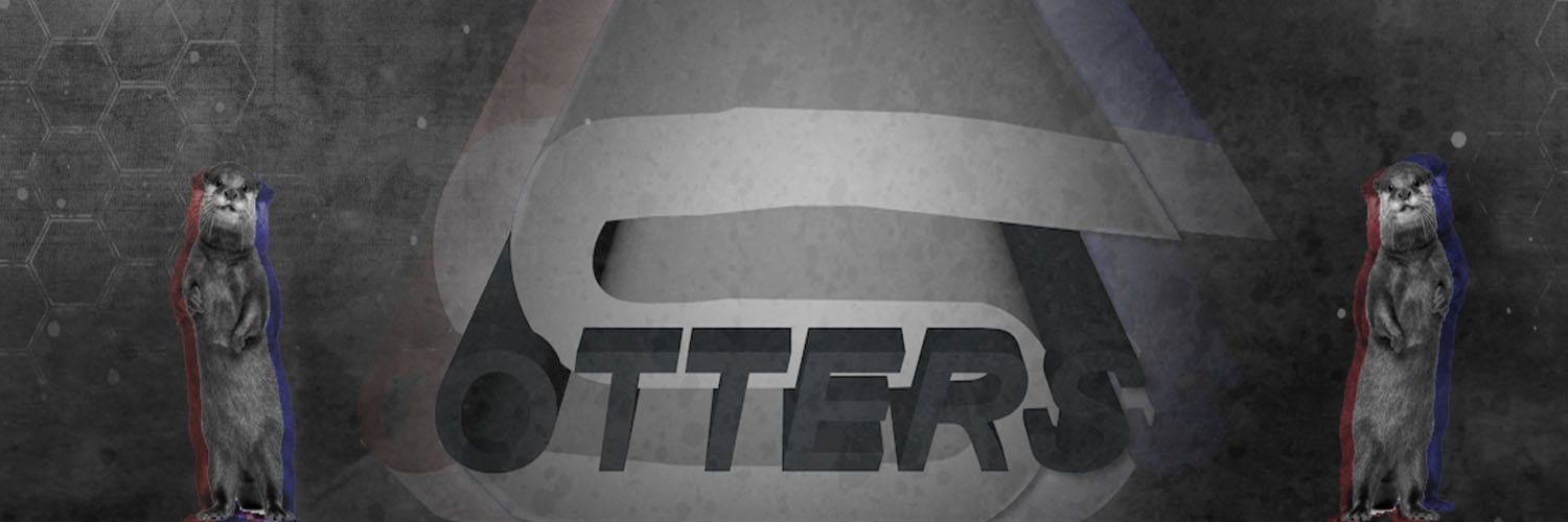 xOtters's profile banner image