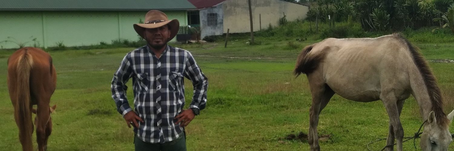 ThisYudis's profile banner image