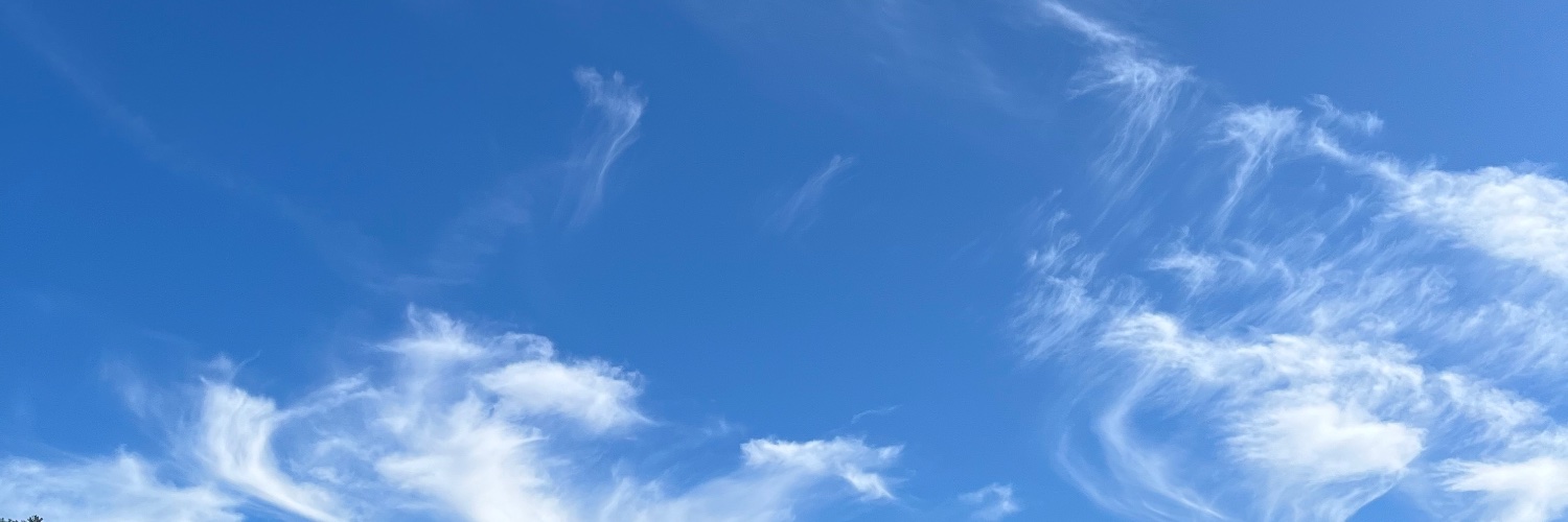 maureeenoreilly's profile banner image