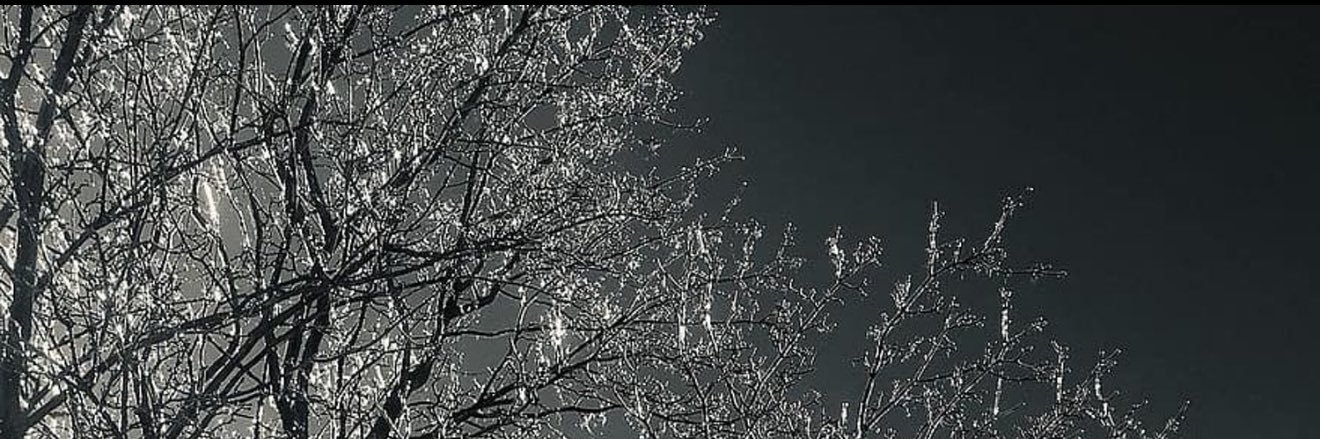 ارشيد عبدالله banner