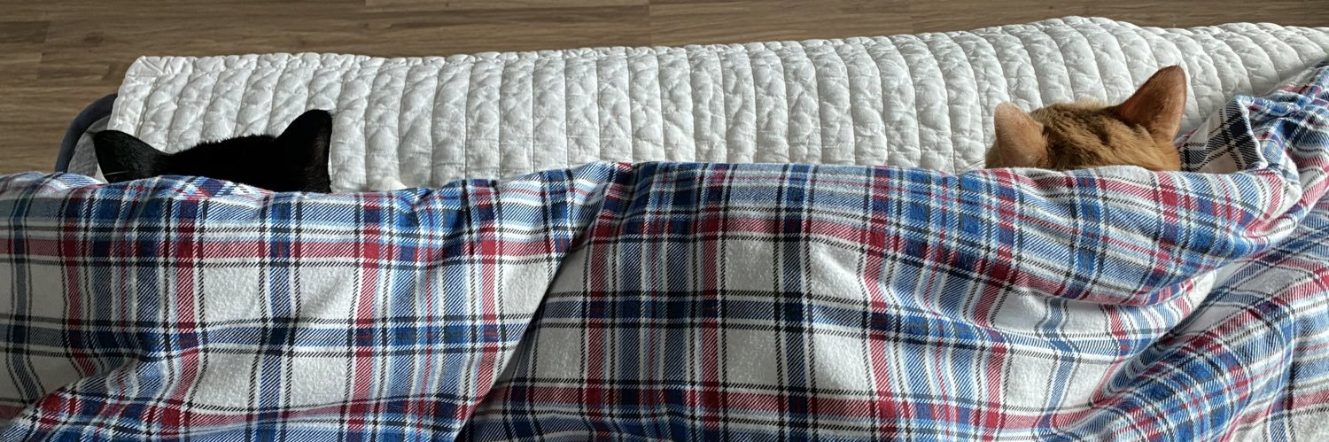 bam_dal's profile banner image