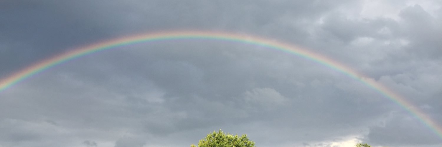 robinb322's profile banner image