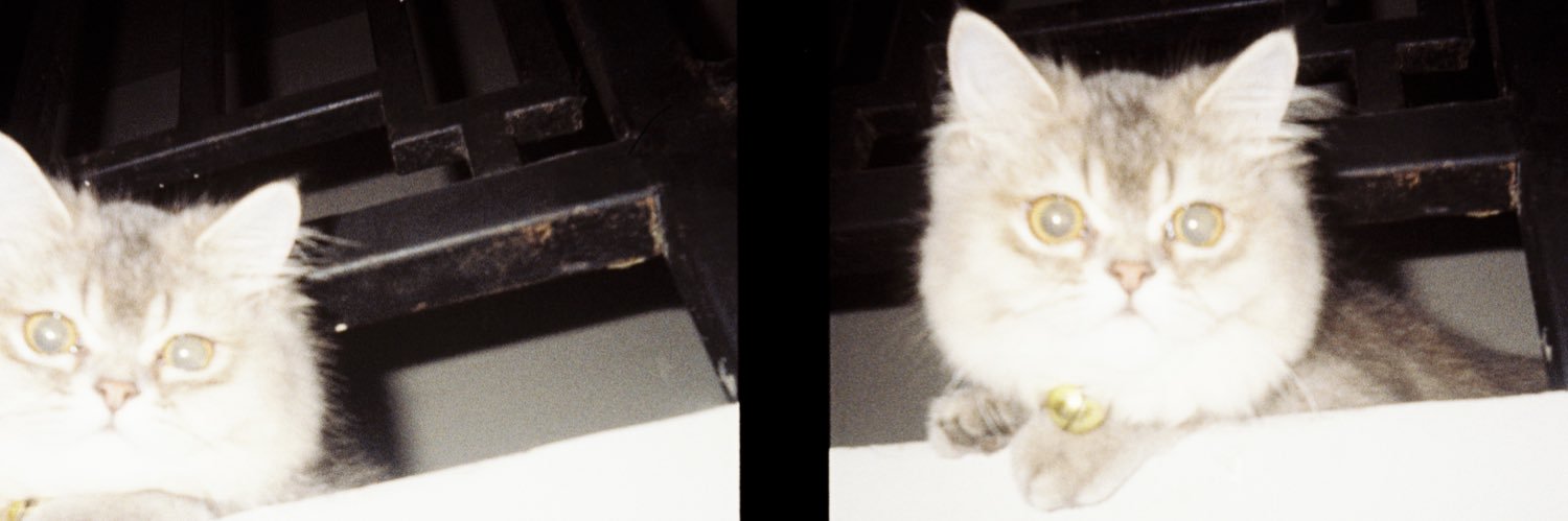 jhnabilah's profile banner image