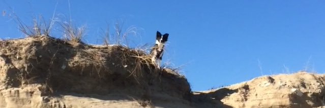 morgiz5's profile banner image