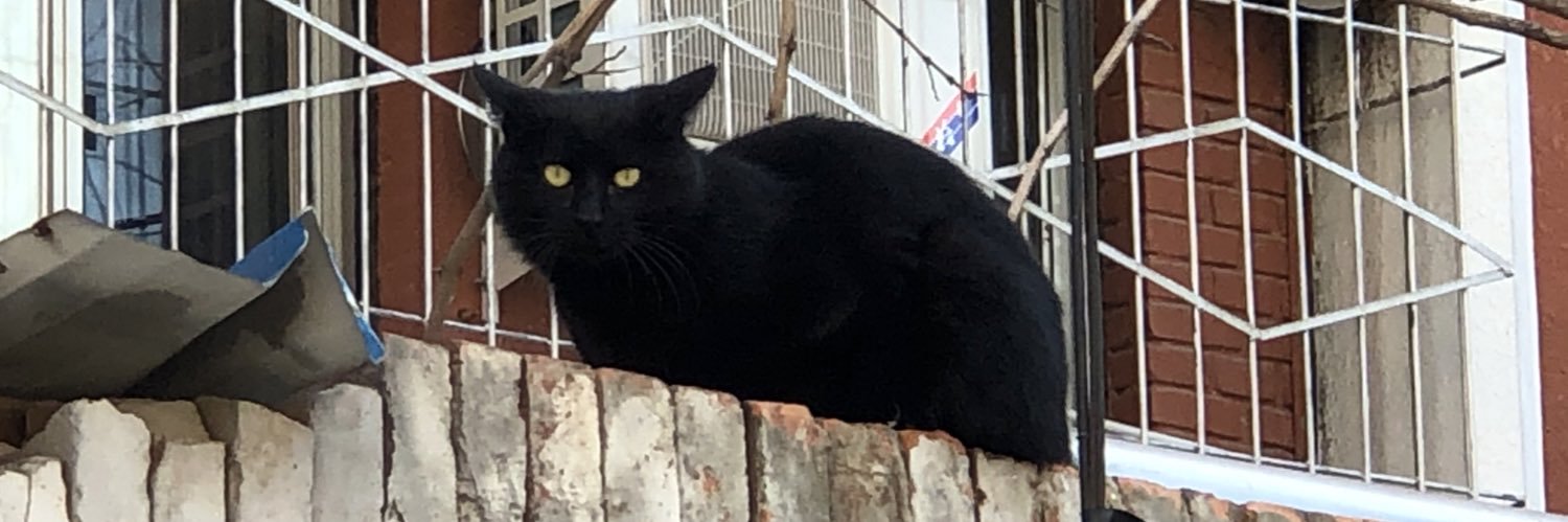 Diana Blanchett banner